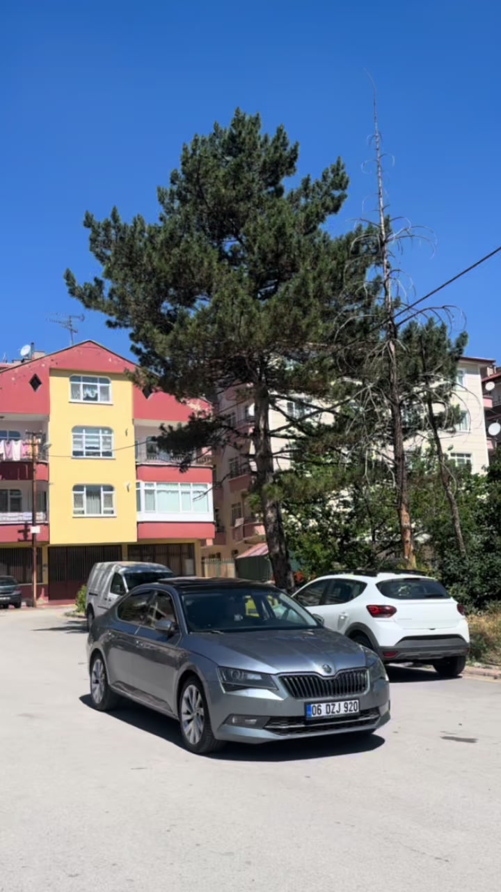 @Mert Bağcı