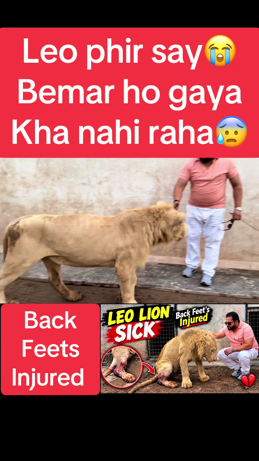 @Mian saqib