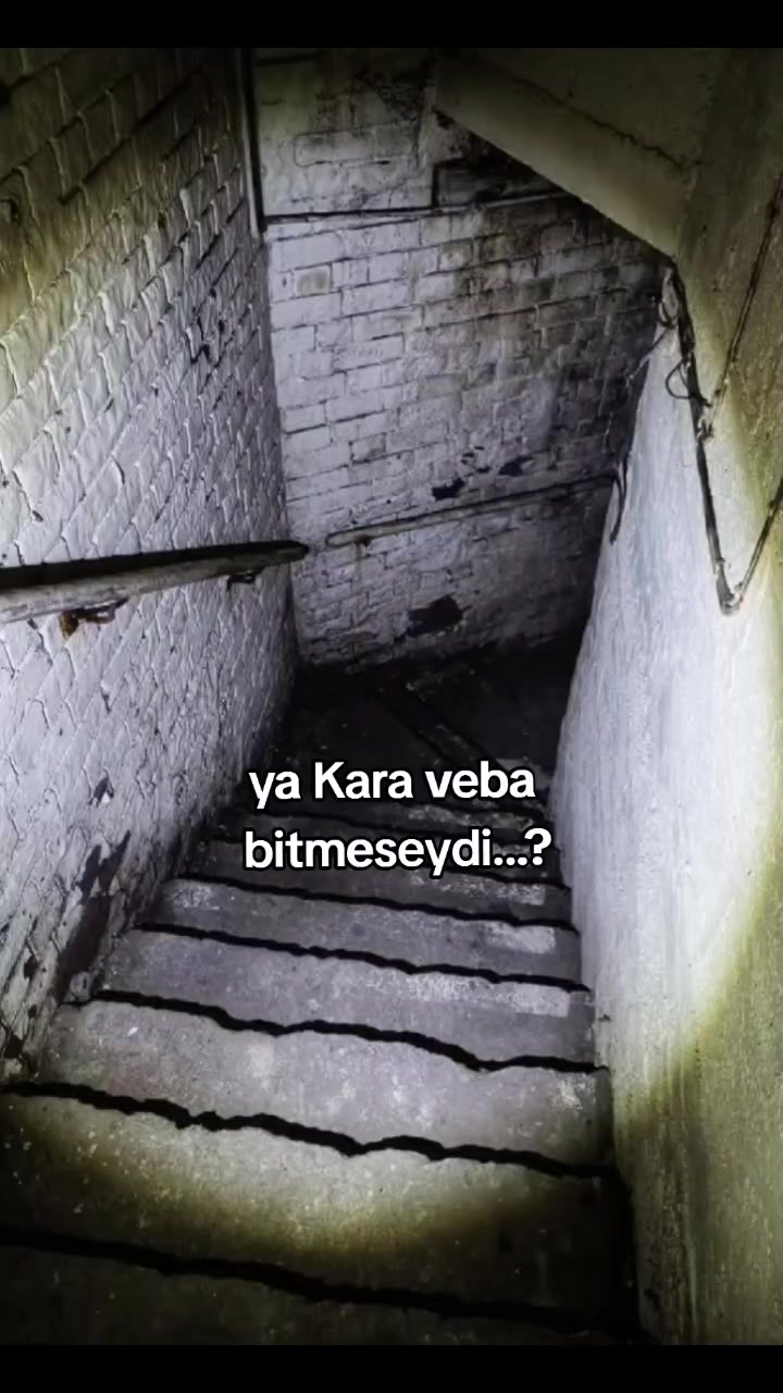 @⋆.˚🦢⋆