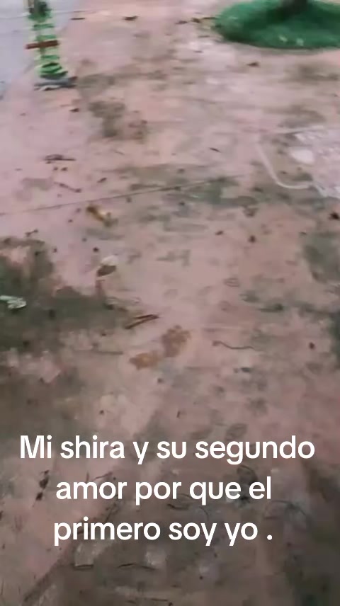 @Adrian Angarita