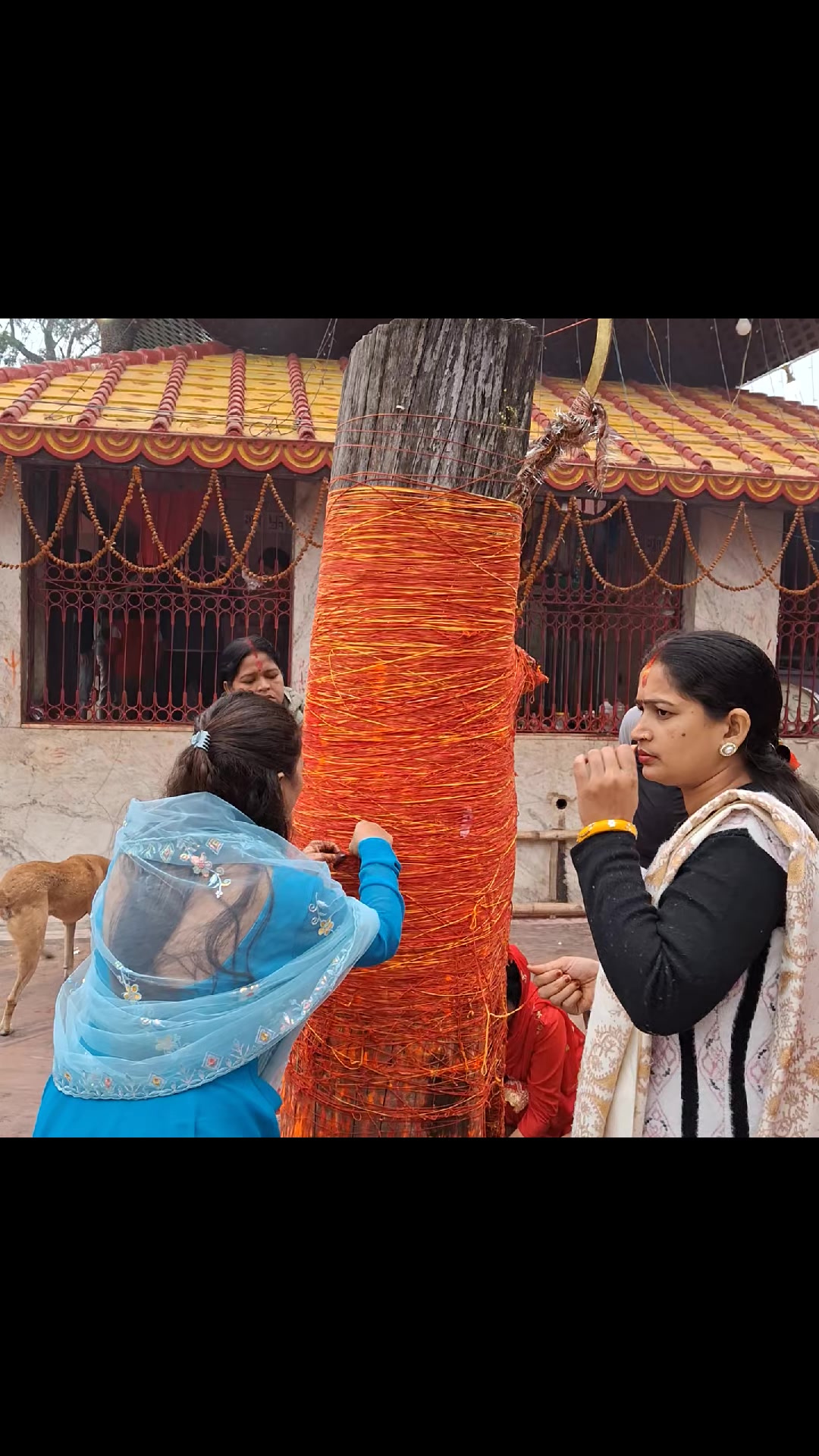 @अञ्जली चौरसिया 🌸🌻🫶