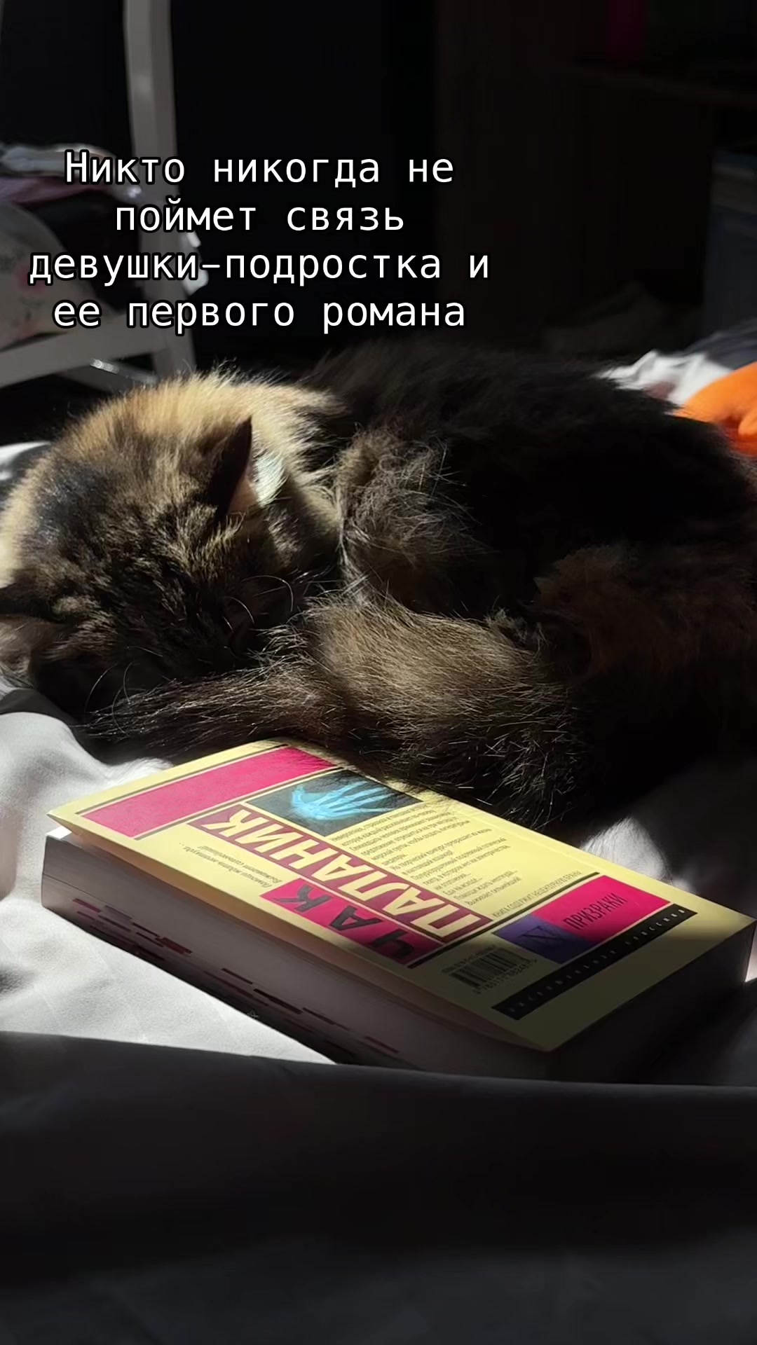 @Lepitetsia