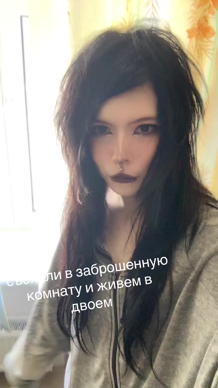 @alikoya