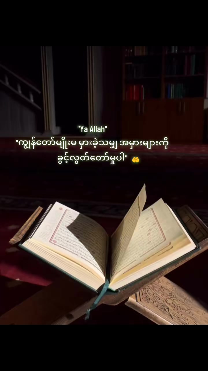 @❣️❣️نجم النسآء🫀🌹