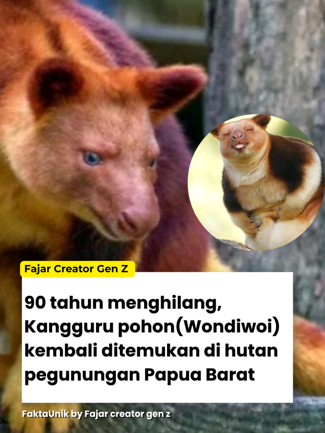 @Fajar | Creator Gen Z⚡