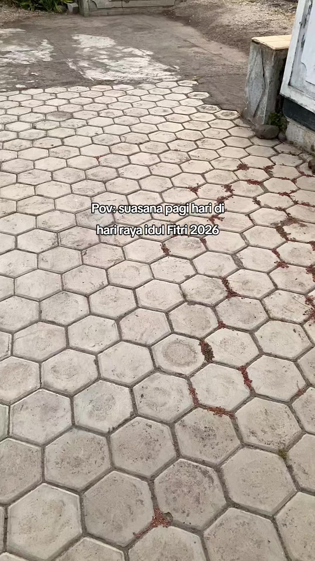@𝑫𝒓. 𝑨𝒓𝒅𝒊𝒂𝒏_
