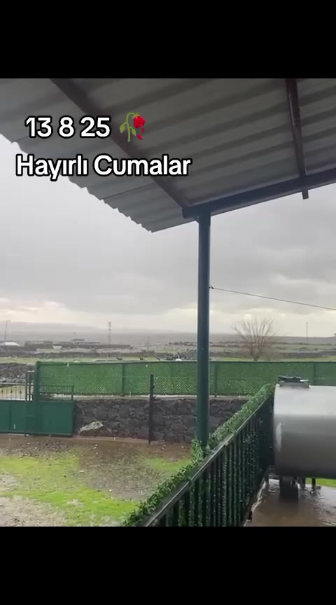 @M Nuri