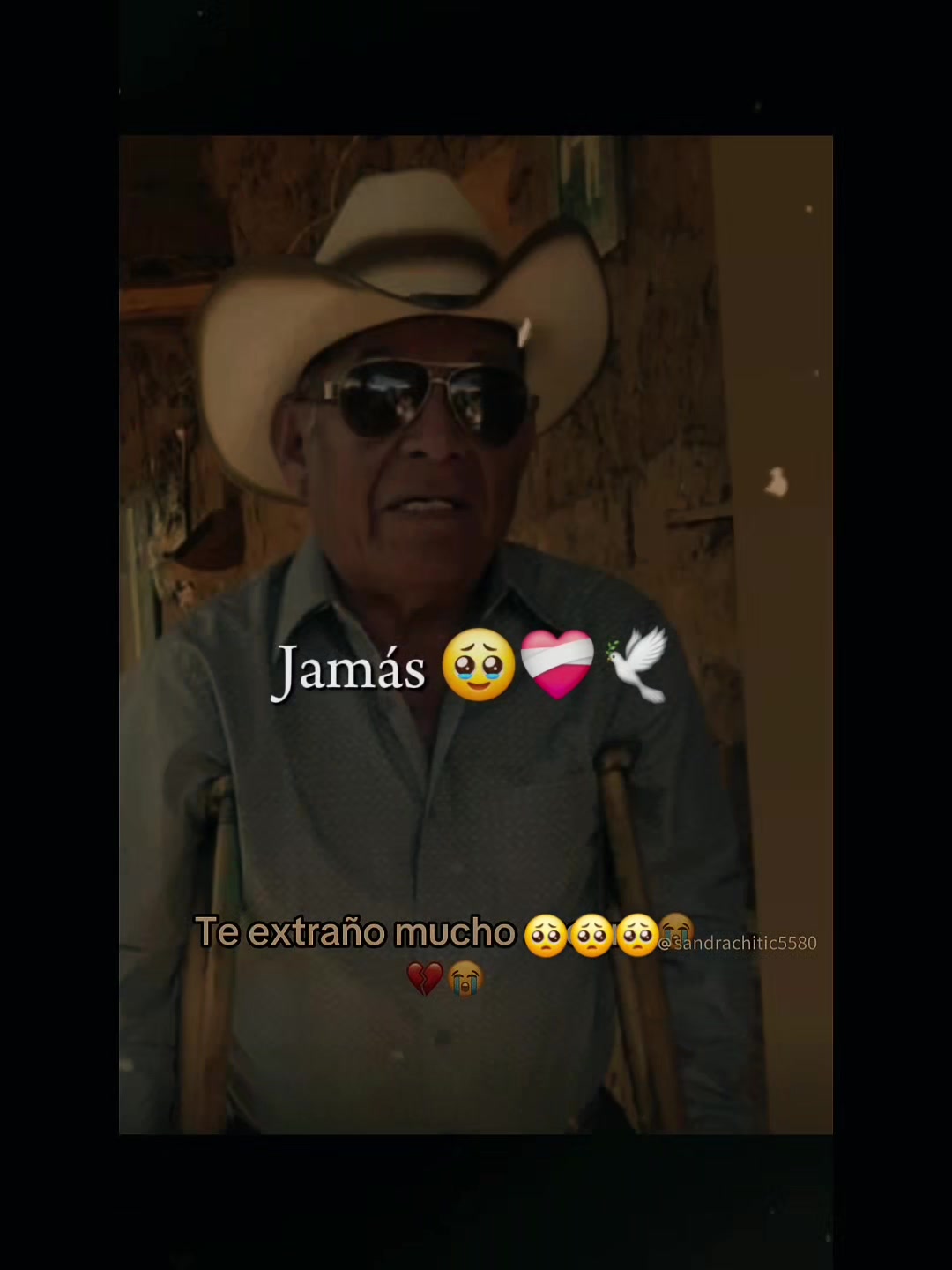 @𝕤𝕠𝕗𝕚 𝕔𝕙𝕚𝕥𝕚𝕔🖤