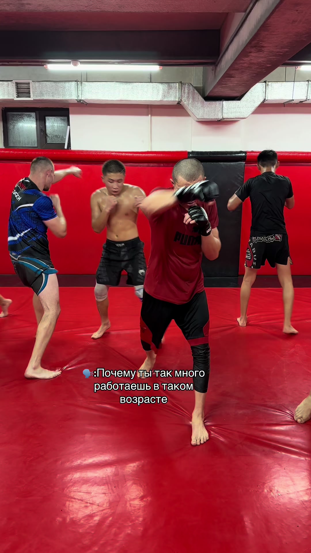 @Mairambek_mma