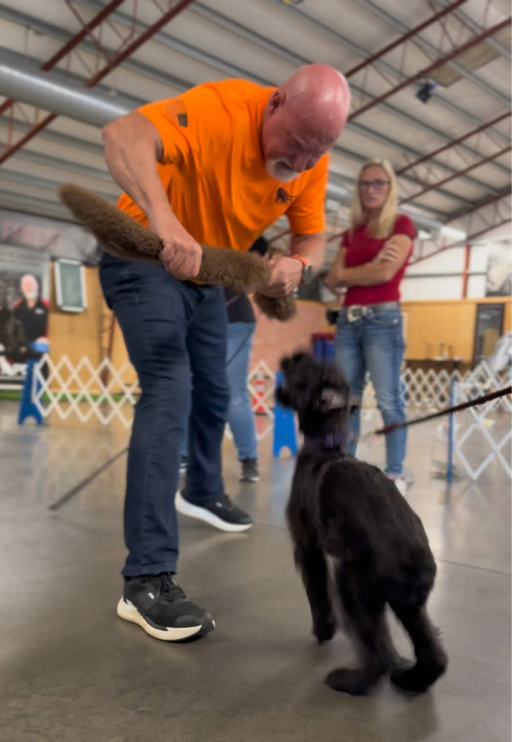 @Protection Dog Sales