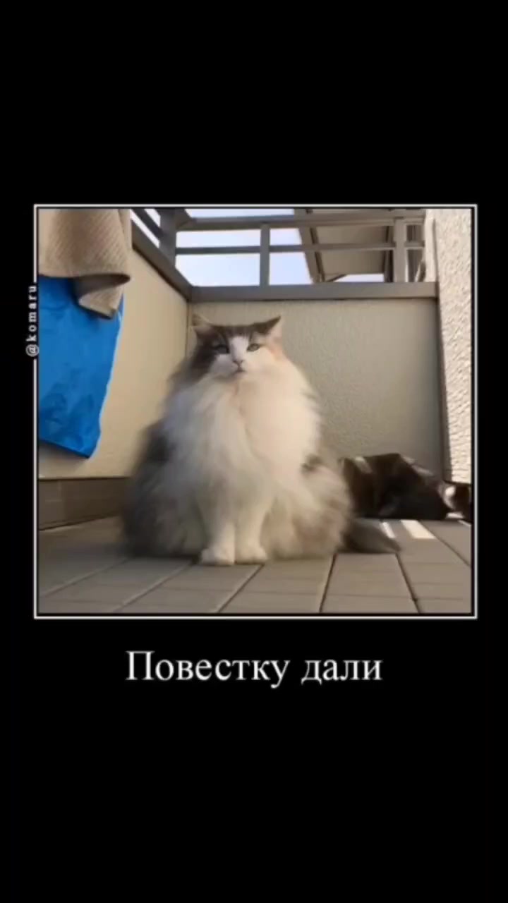 @KomaruSalt_AB