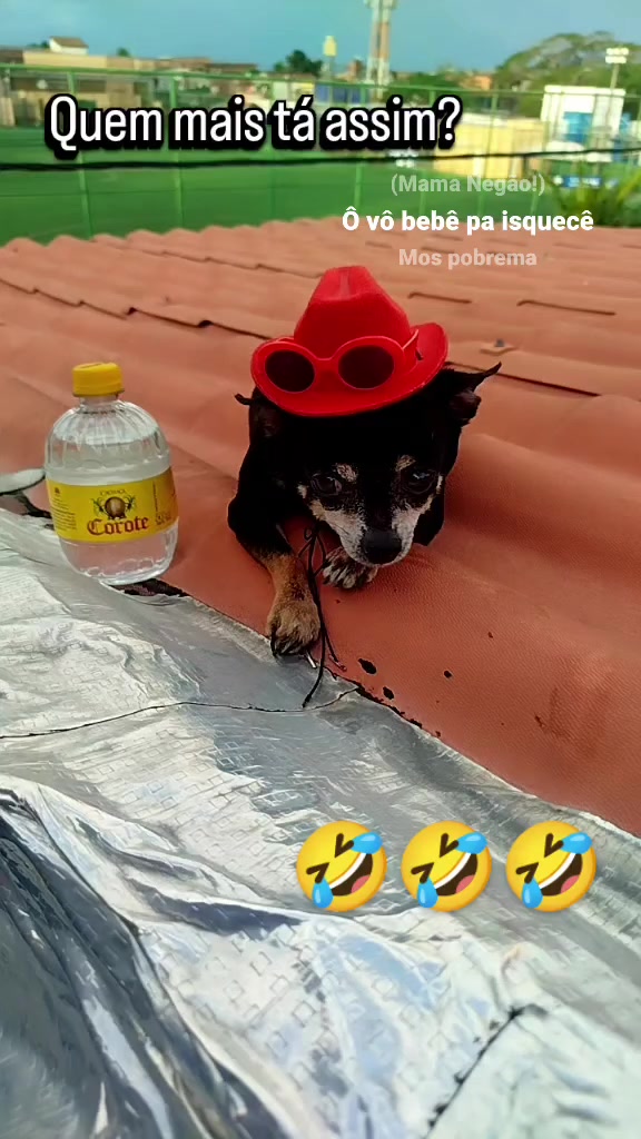 @vanetinhadotiktok