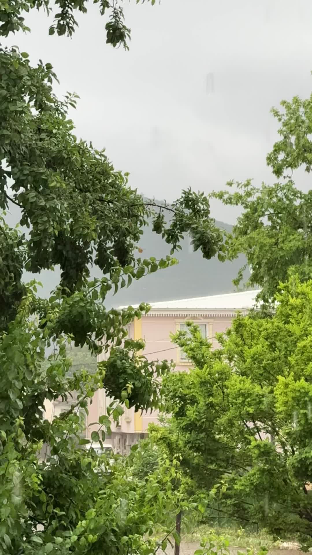 @can doğan iplik