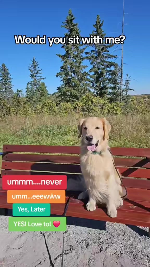 @🐶Griffin