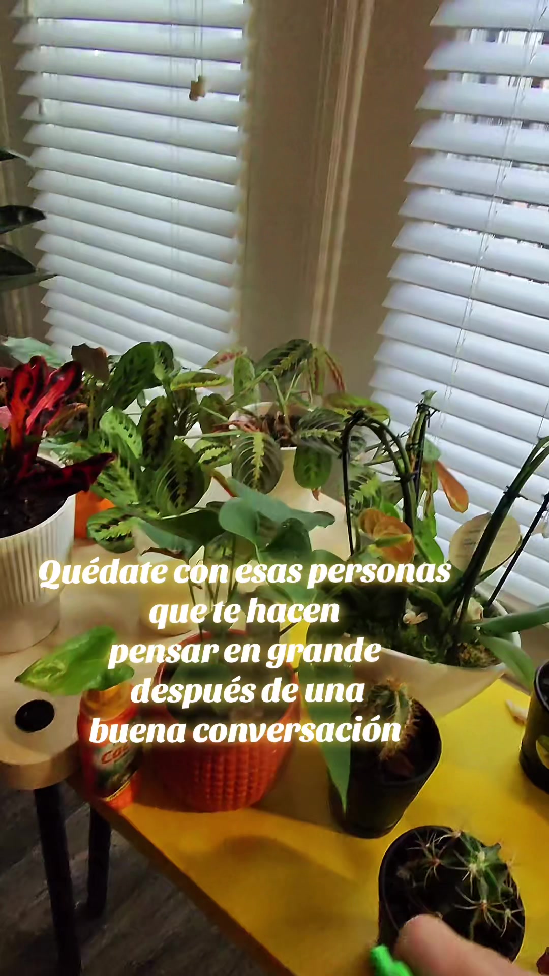 @Jorge Alberto Holguin Lozano