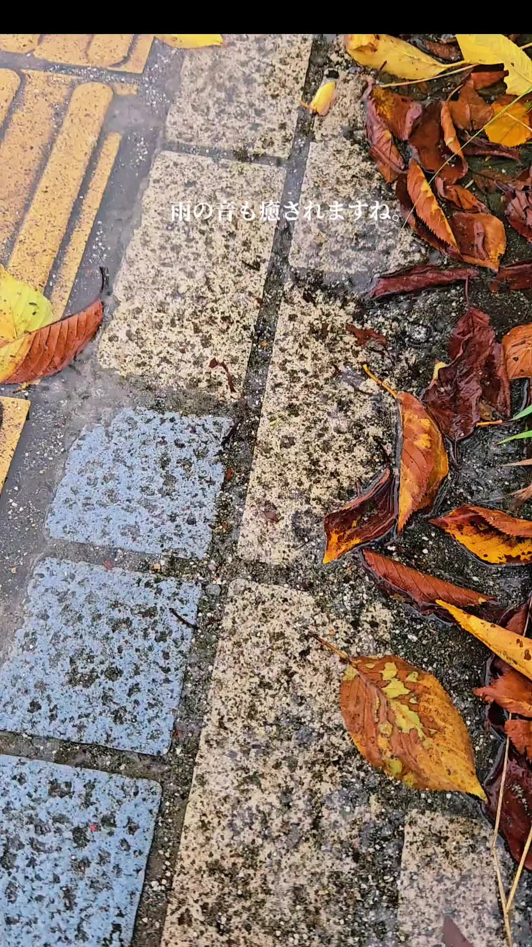 @y