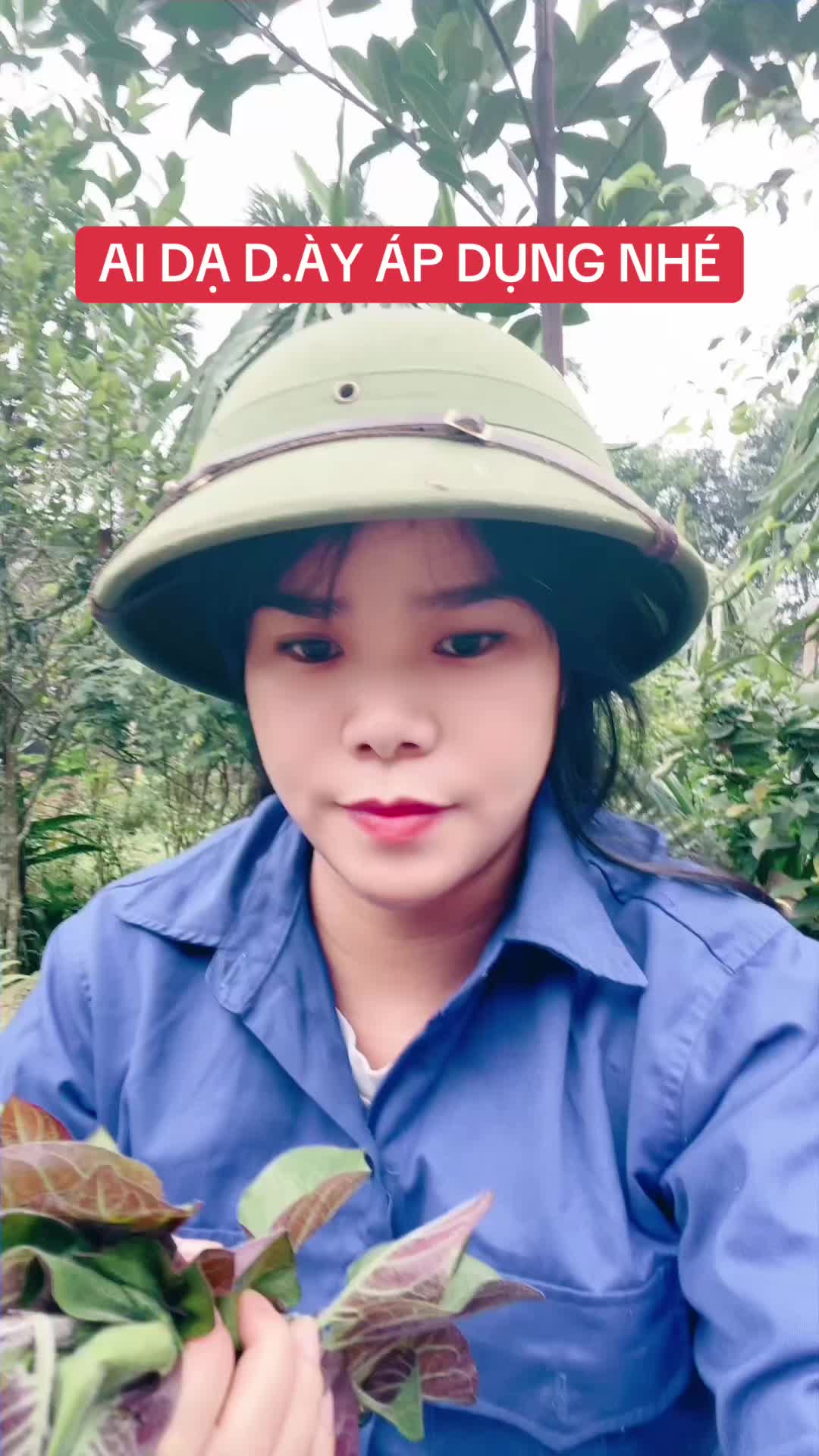 @Ngọc Chinh Miền N&uacute;i