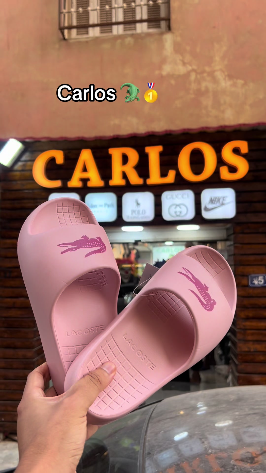 @Carlos 🐊🥇