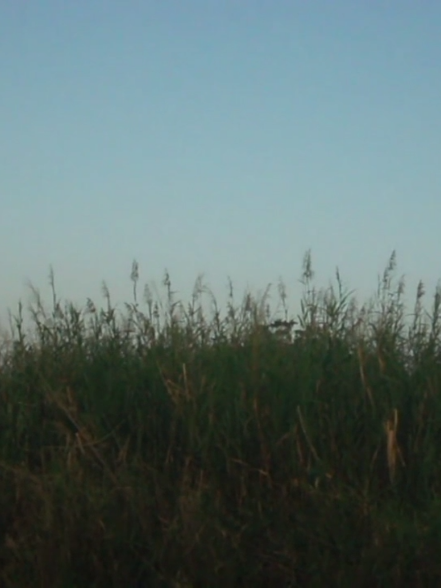 @Springᯓִֶָ࣪☾.