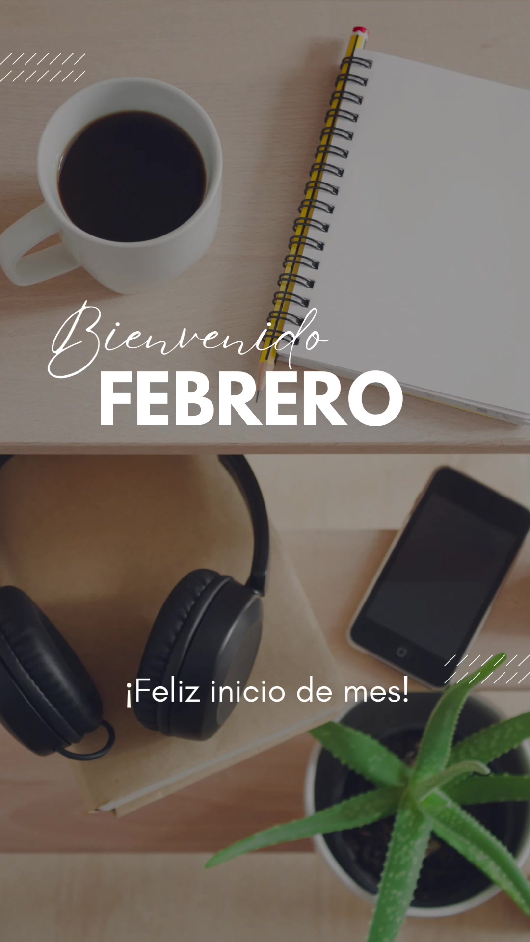 @lucia.acostacor
