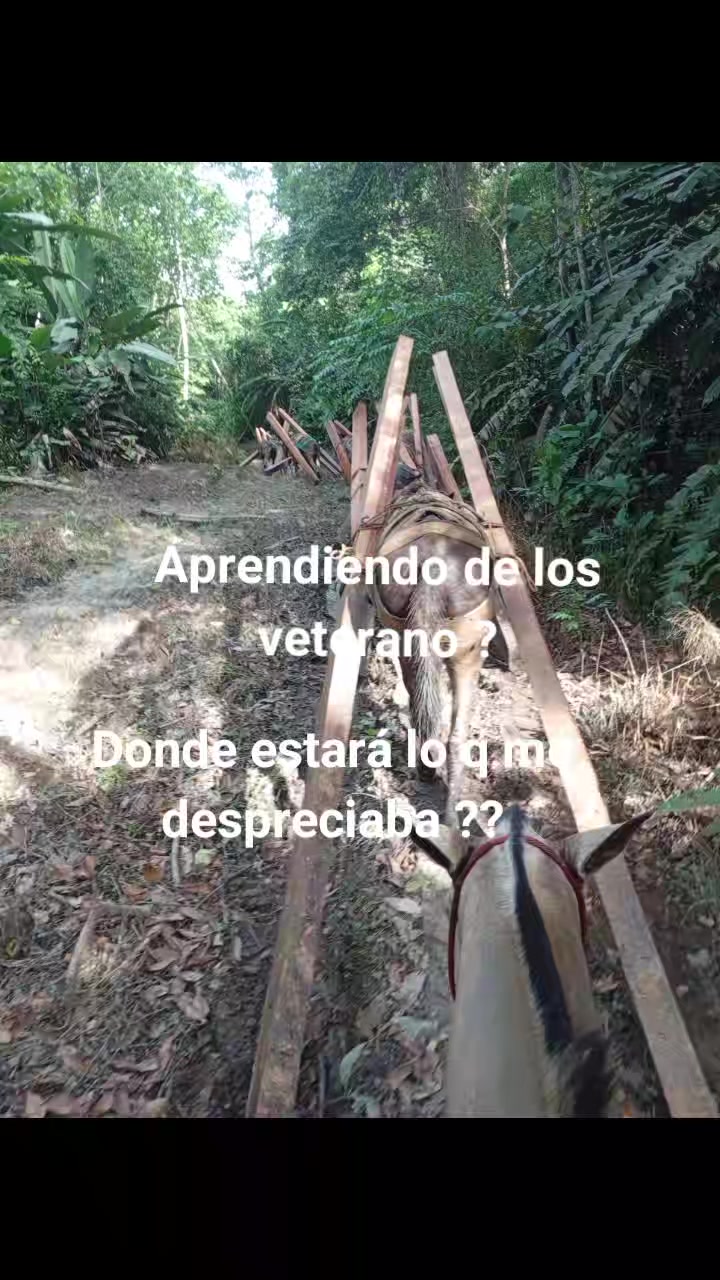@Ell Chirri