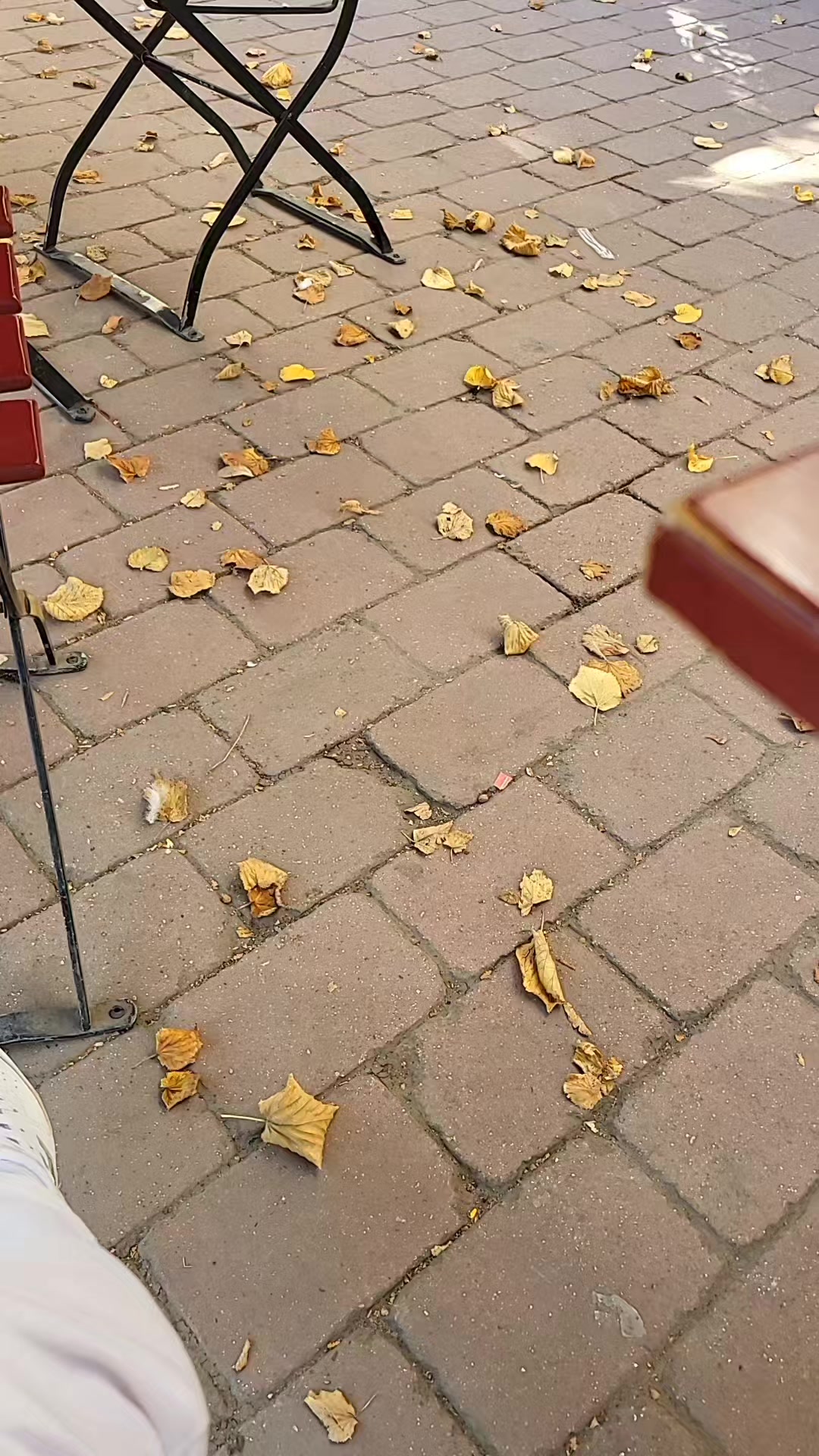 @Eugenik