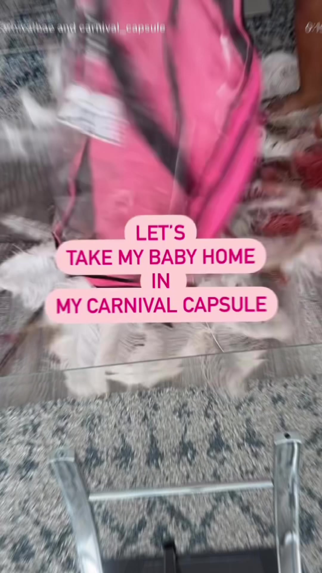 @CarnivalCapsule