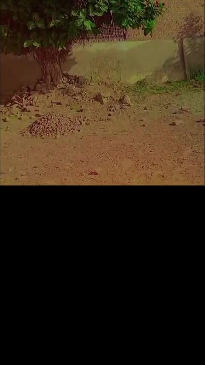 @༺★S𝒊𝒍𝒆𝒏𝒕ܔ༻