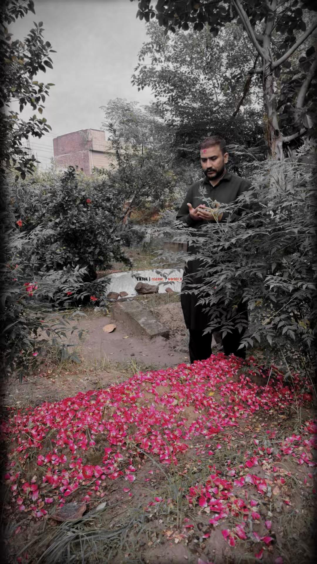 @ShafiqBhatti450