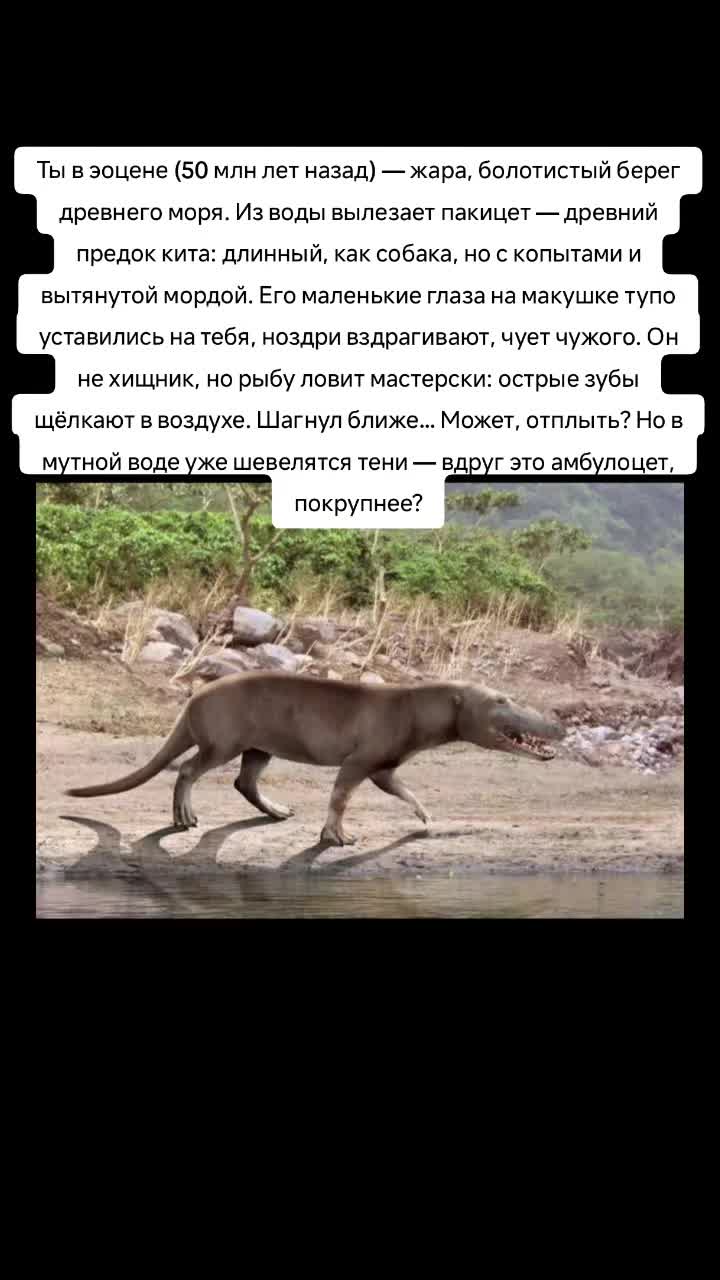 @Сендвич🕶