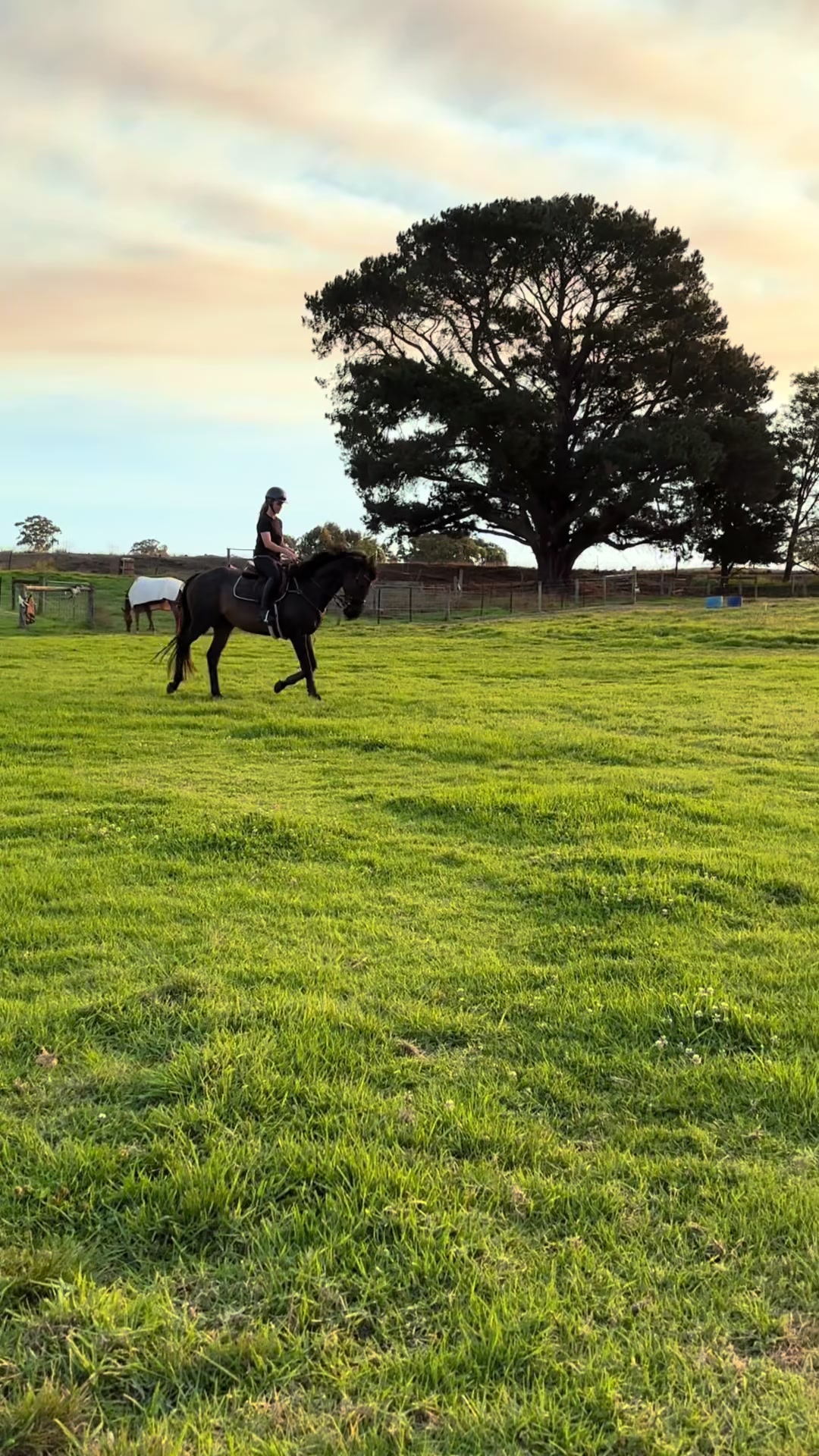 @skye.oequestrian38
