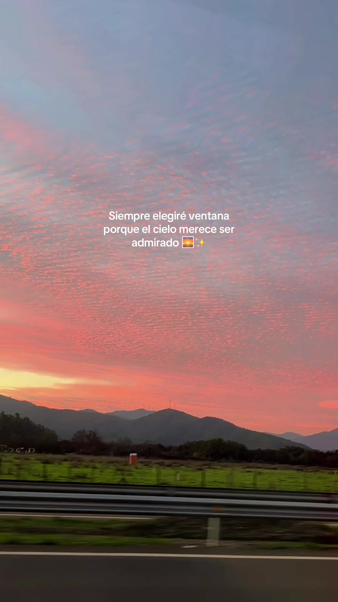 @️ Priss🌙