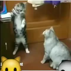 @Enock Jean