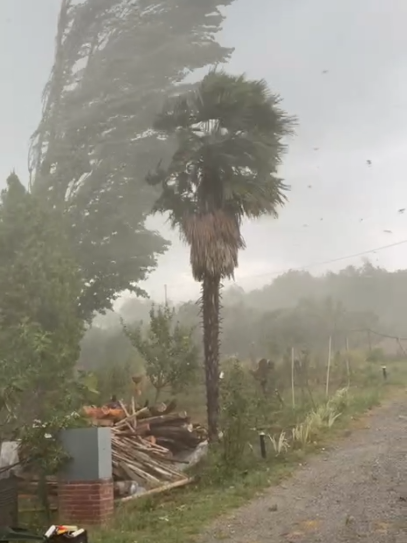 @Weather Insider