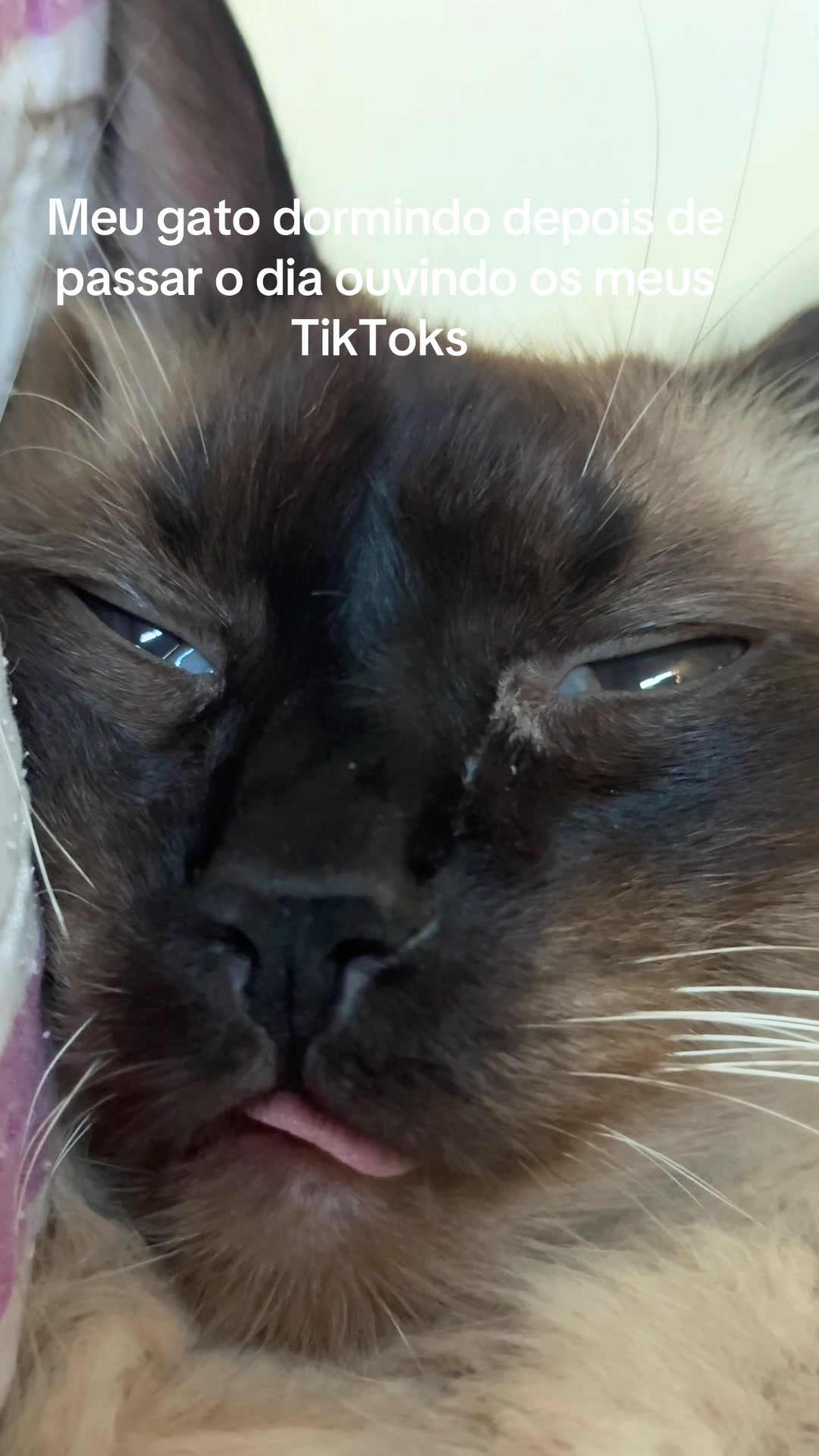 @Lorenzo the cat