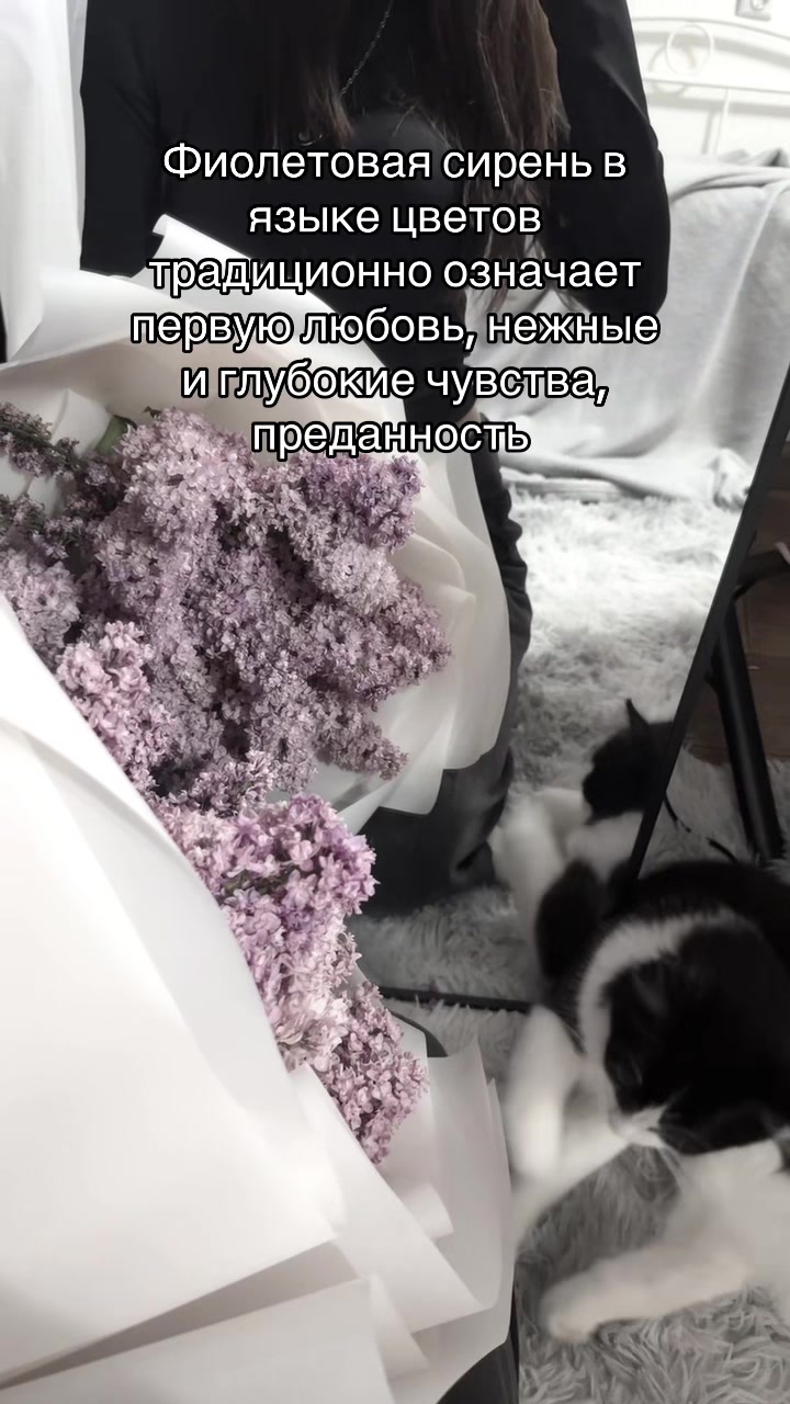 @𑣲amochka