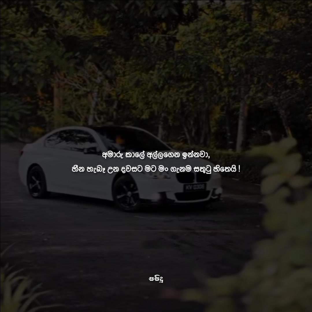@サシ 🇧🇷