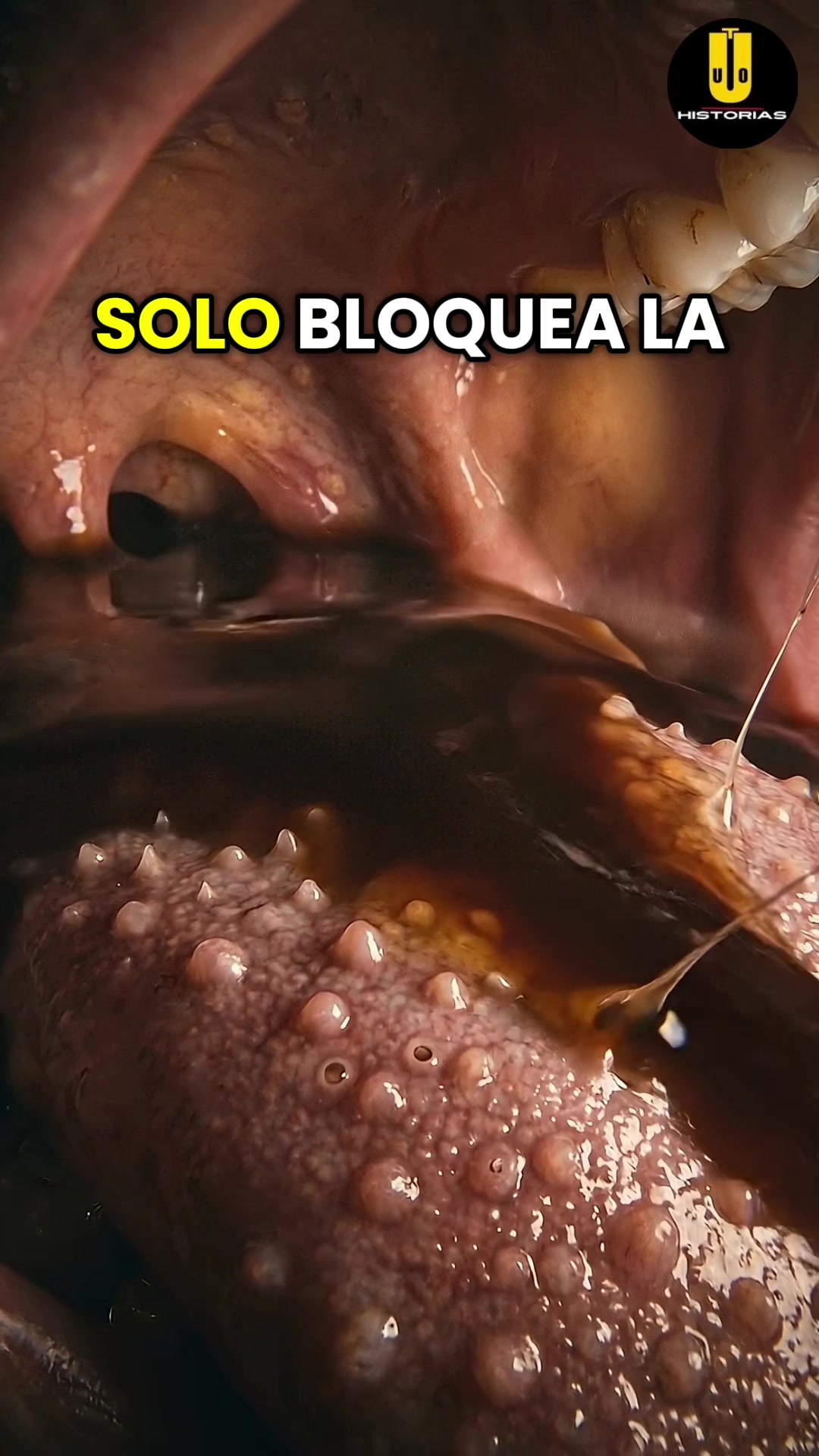 @Utopía Oculta