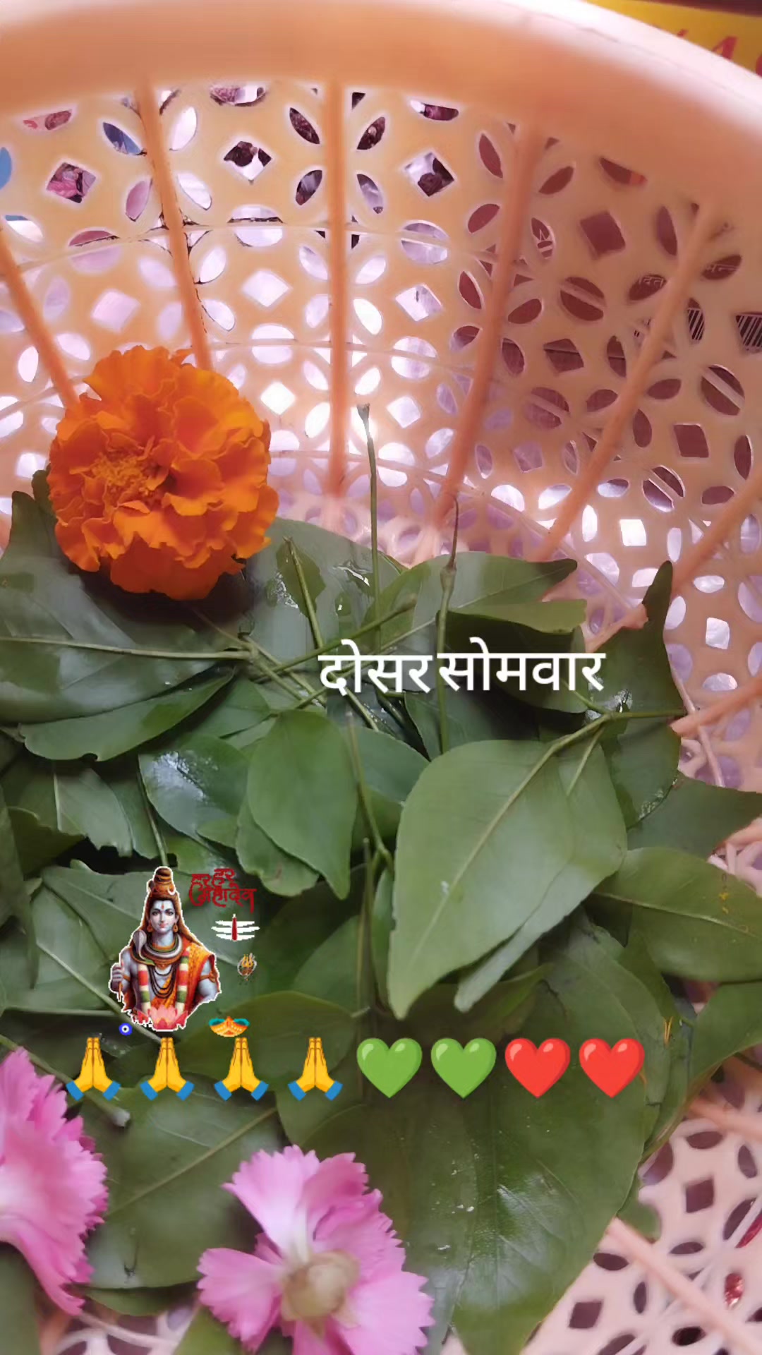 @Dipika ♡