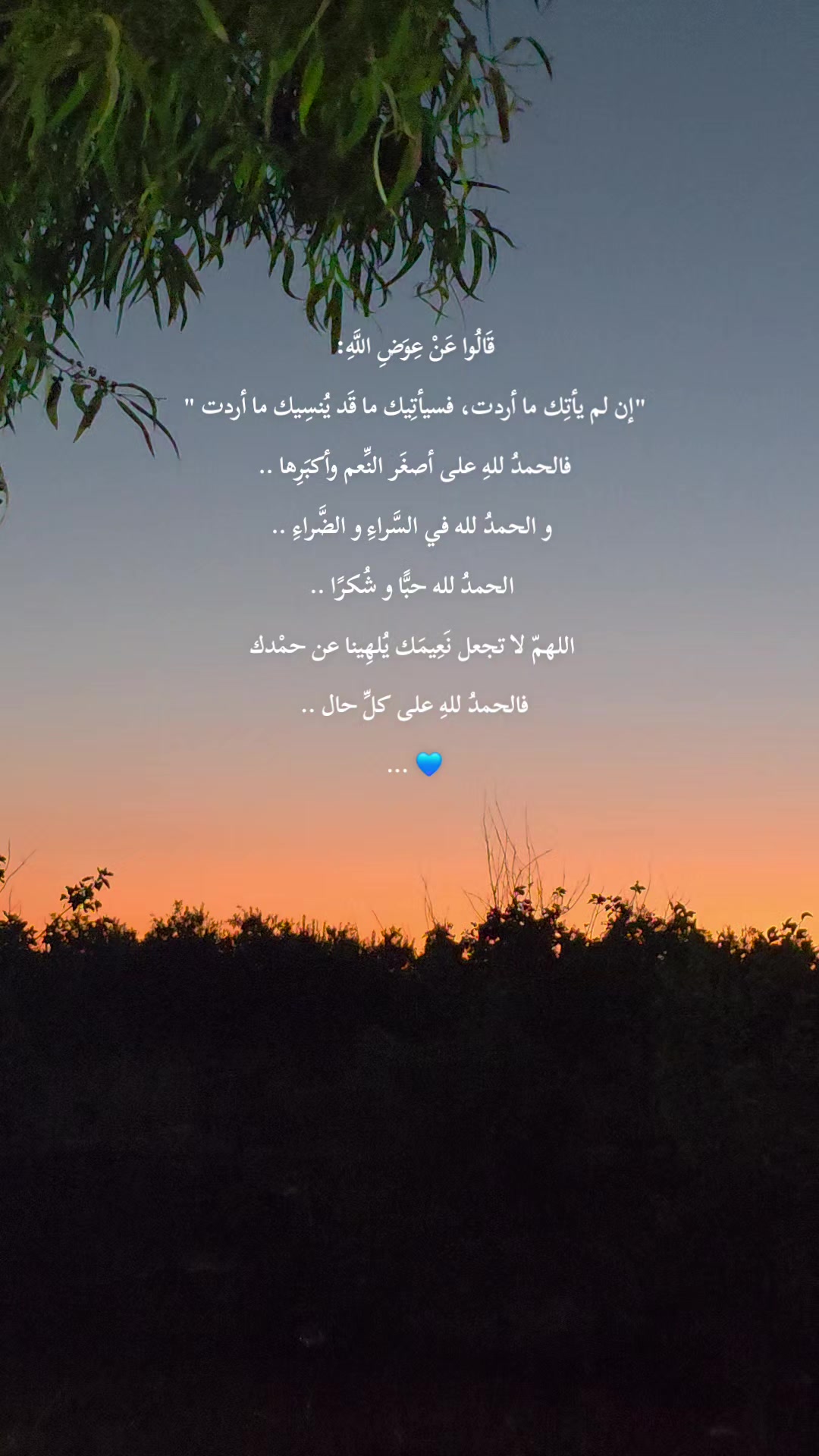@لأَبْي ..🕊️رَوْحٌ ورَيْحان 🌿