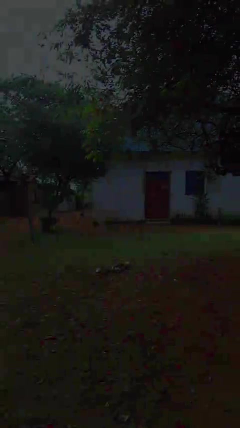 @eliudogalo (ja naam).