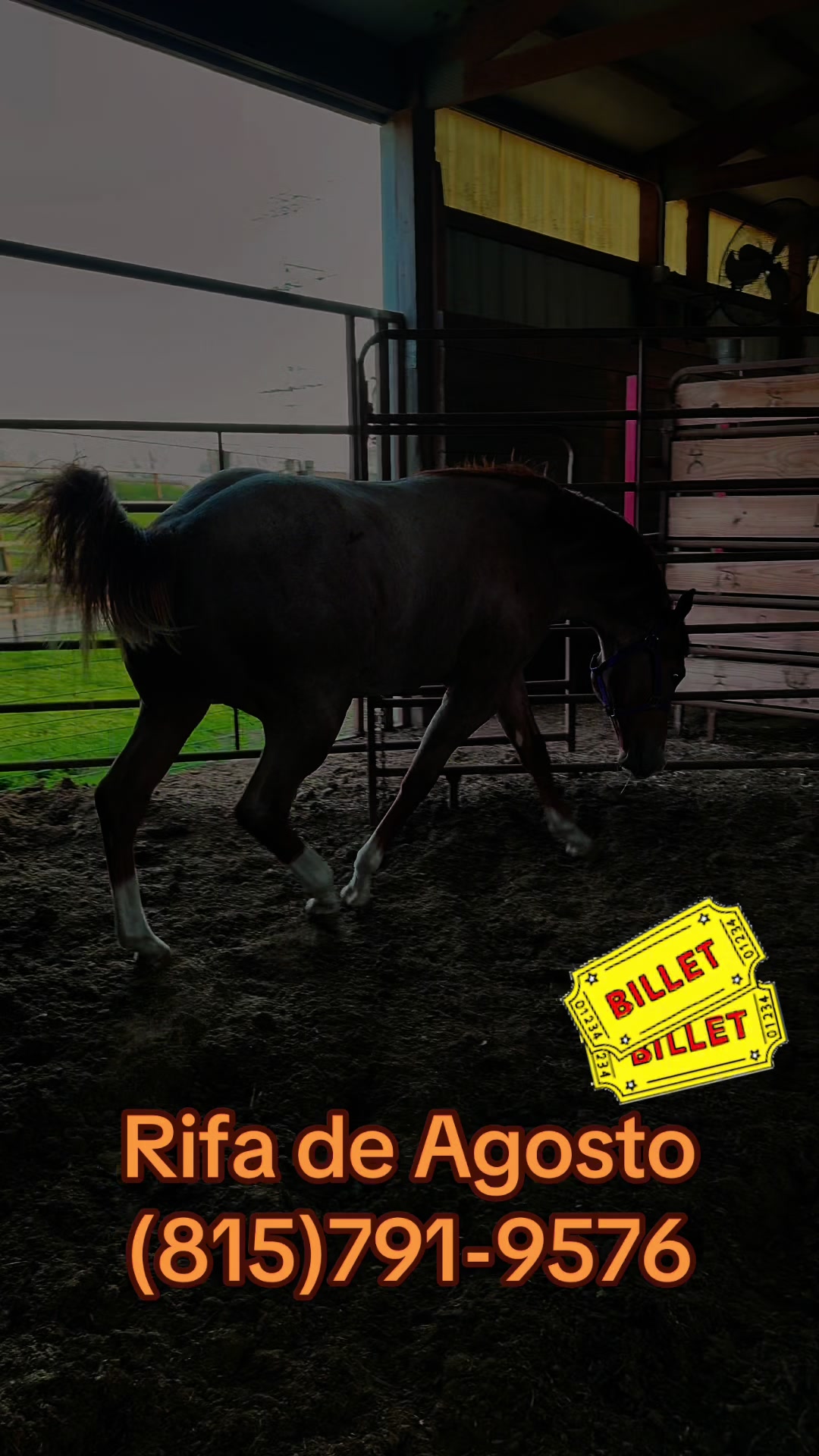 @R.L.P Quarter Horses