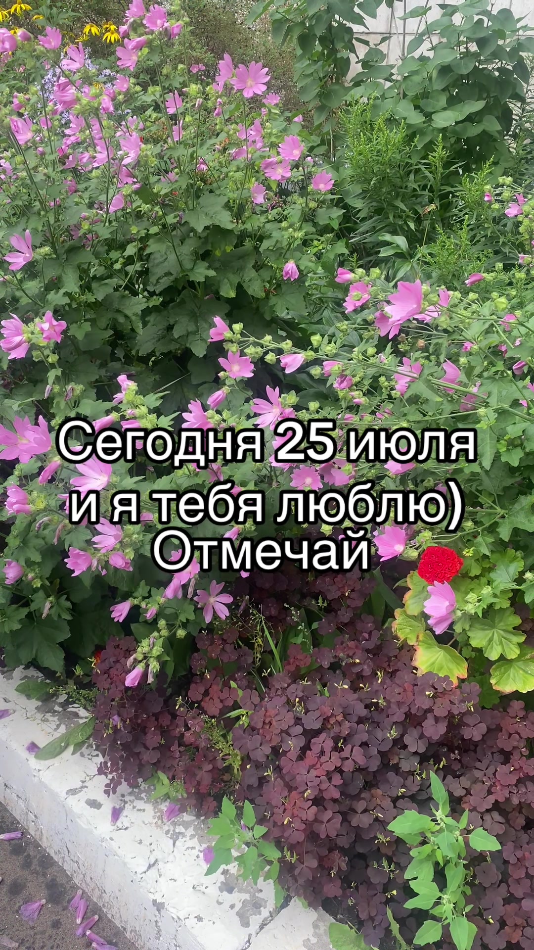 @Данил