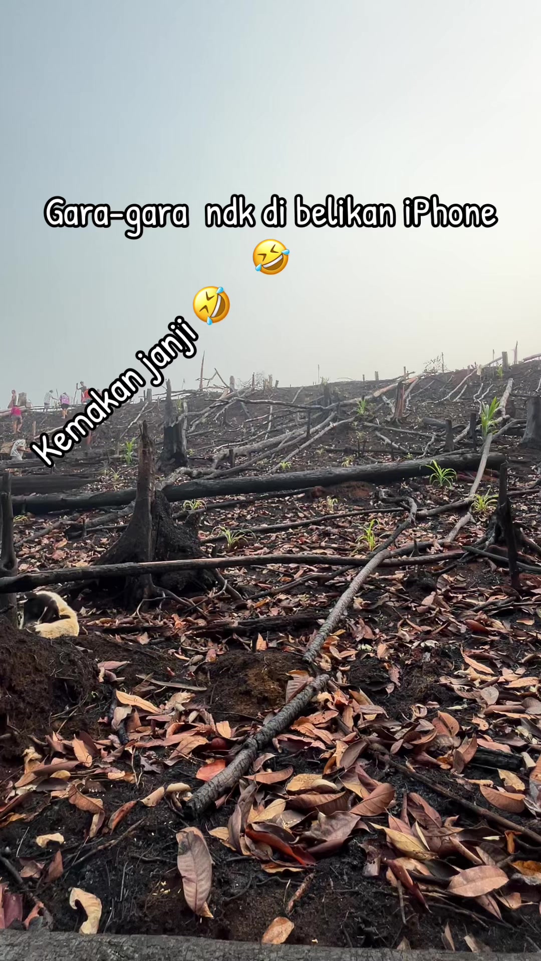 @nev 