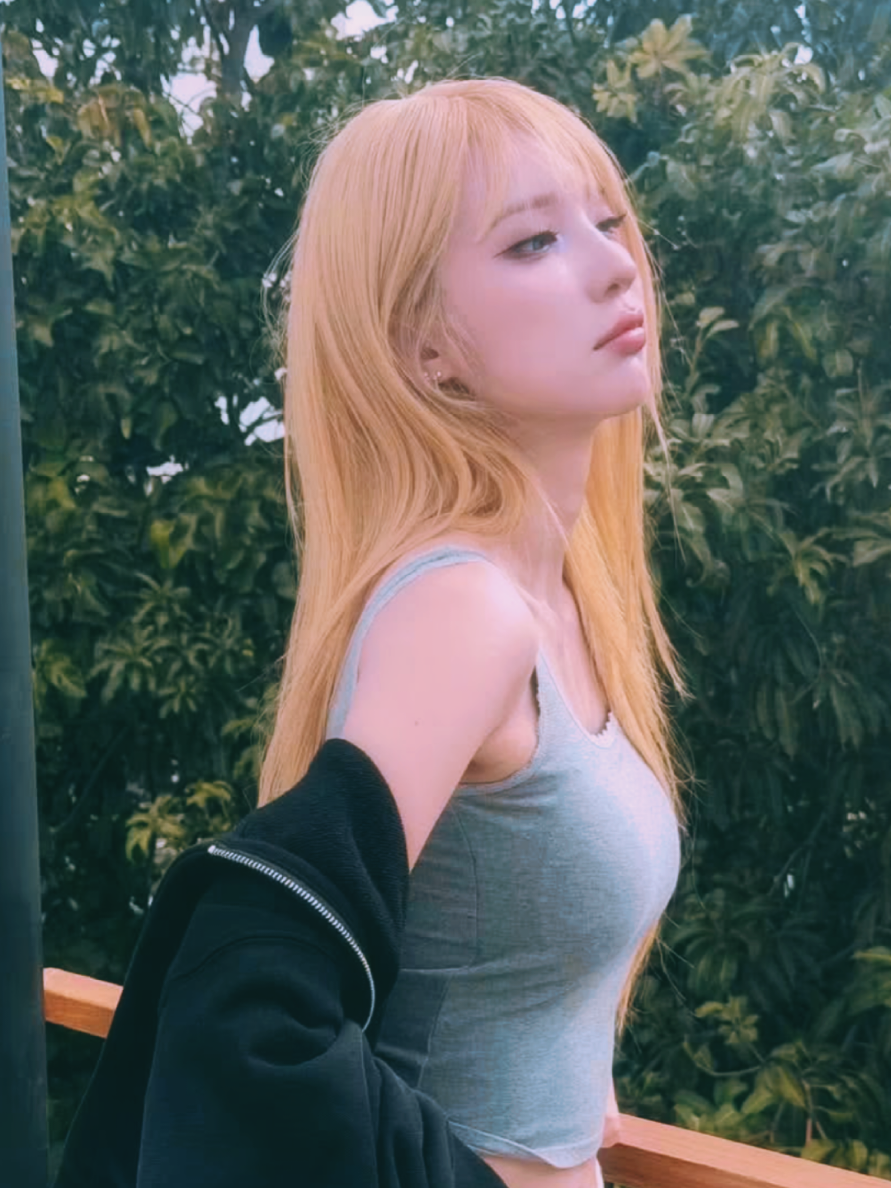@Moni_upnew