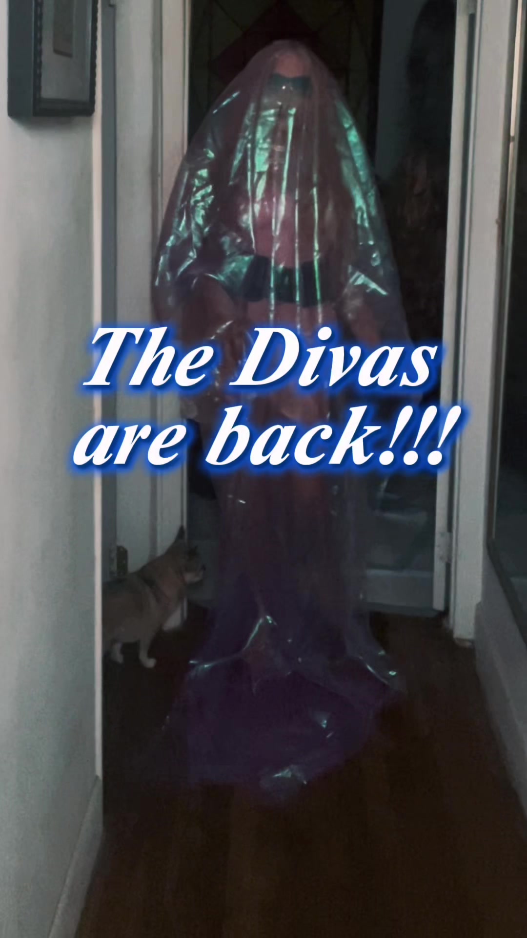 @Dorothy B. Dozen Divas Show!