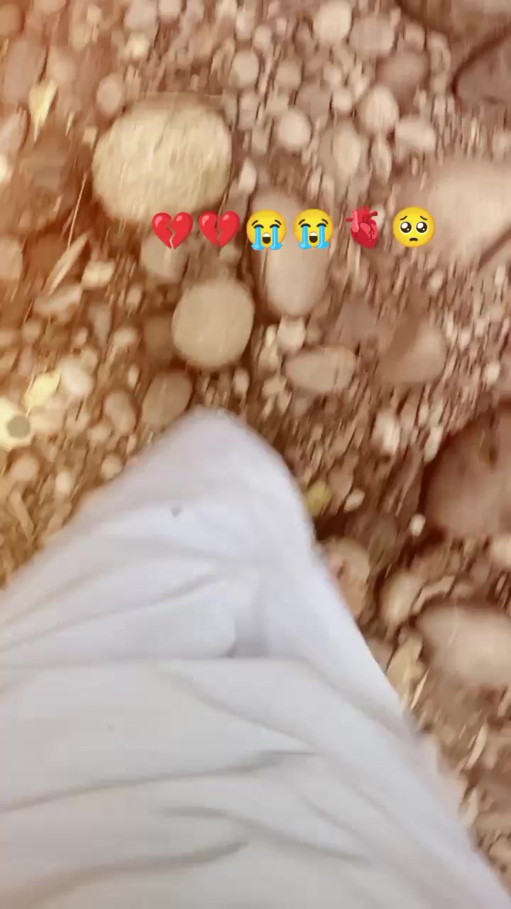@🦍گوریلا🦅🦍