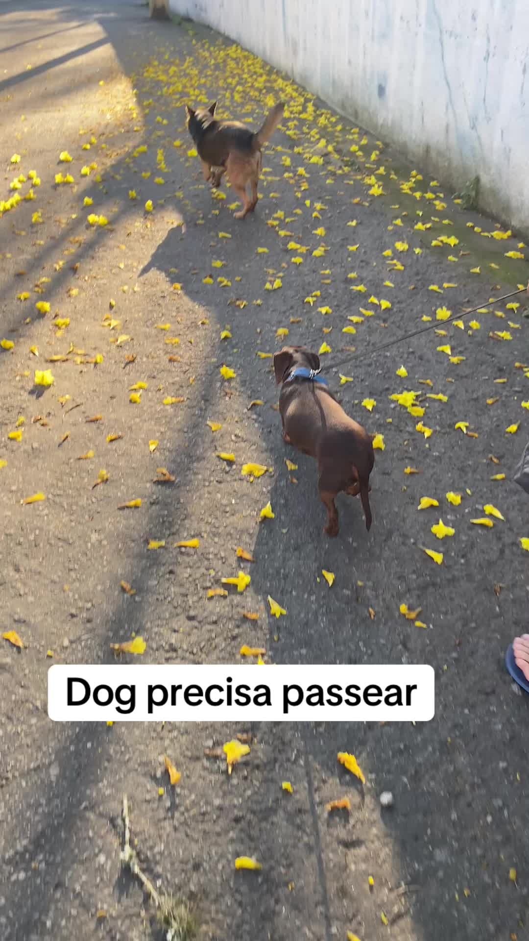@Naná Marques