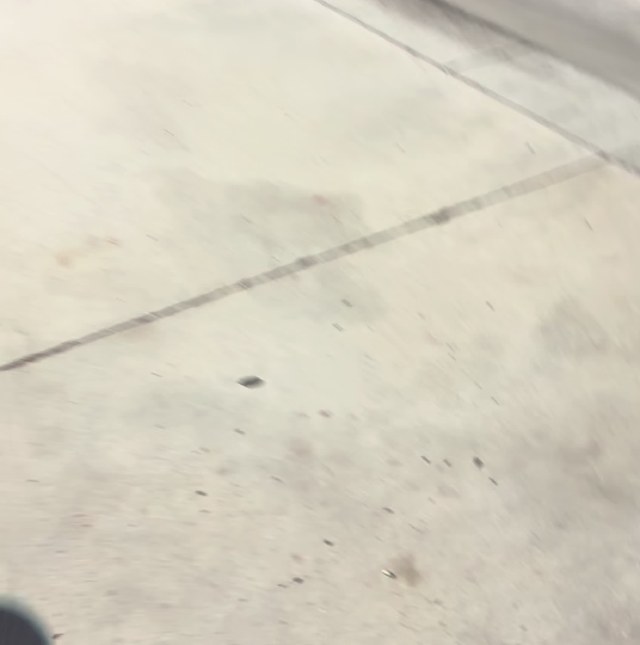 @BOREDAWG