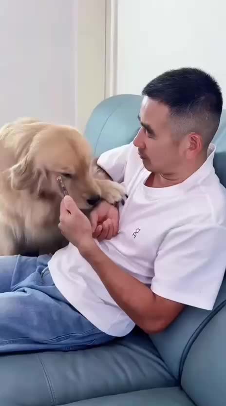 @Funny